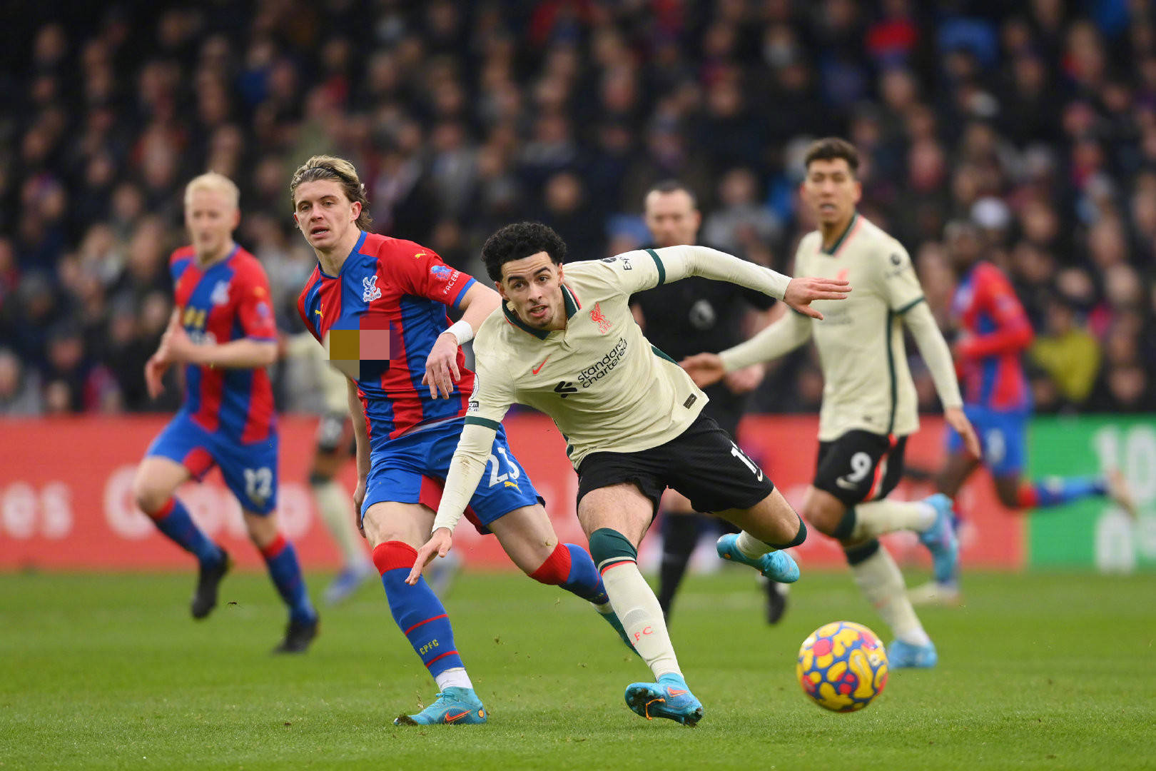 教育普及 教育普及